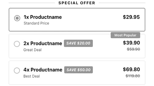 Bundle Discount Offer snippet: 1x, 2x and 4x quantity breaks with savings